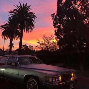 trample残忍践踏vk
